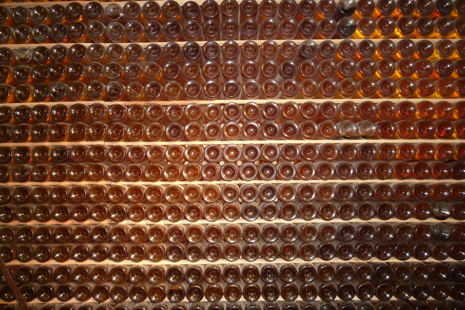 照片 法国(France) 蒙巴兹亚克(Monbazillac) 2010-08 58