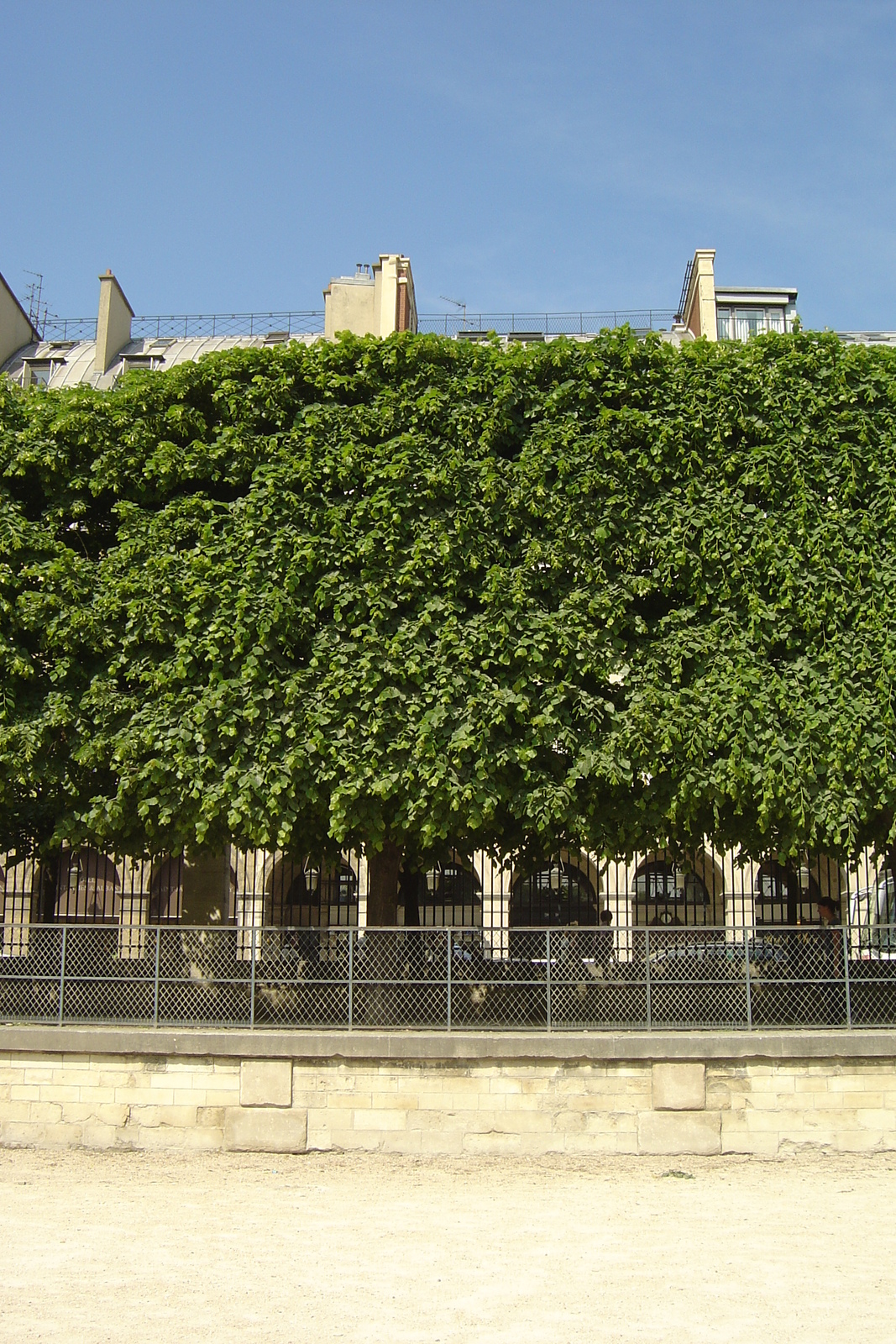 照片 法国(France) 巴黎(Paris) 杜乐丽花园(Garden of Tuileries) 2007-05 17