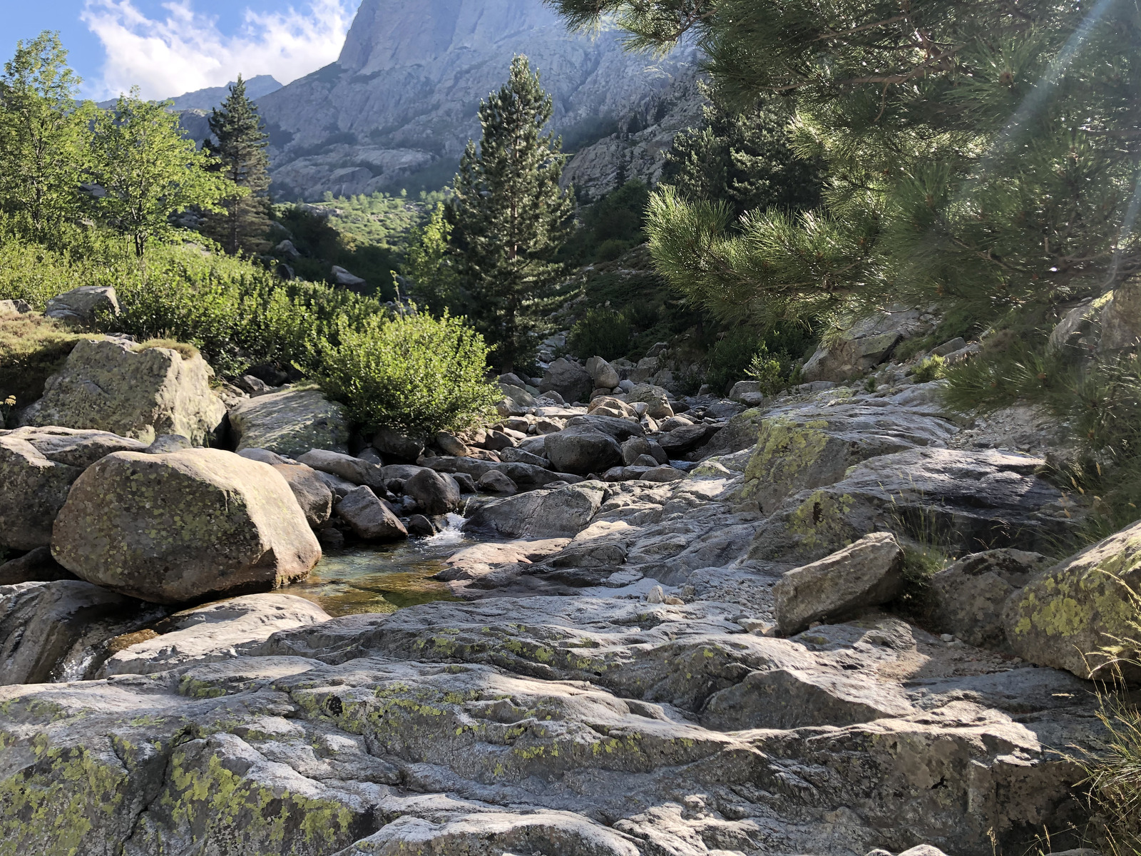 照片 法国(France) 科西嘉岛(Corsica) 雷斯托尼卡山谷(La Restonica) 2020-07 39