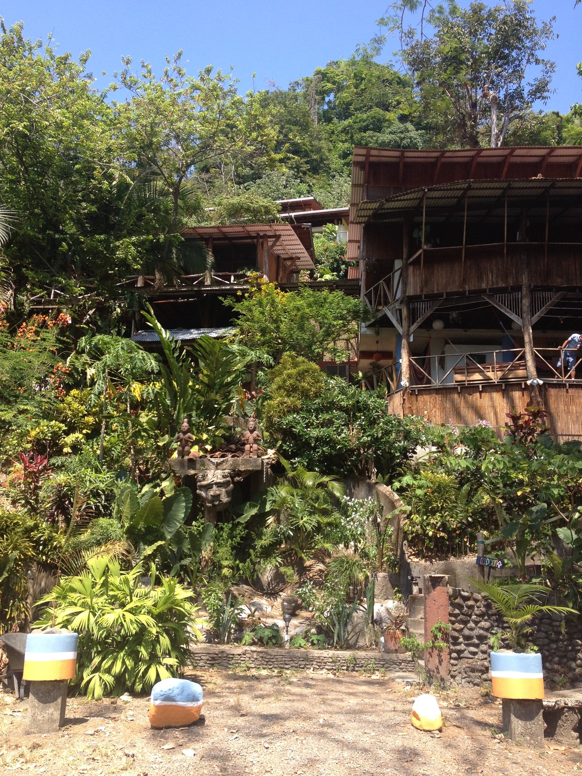 照片 哥斯达黎加(Costa Rica) 曼努埃尔安东尼奥(Manuel Antonio) 2015-03 107