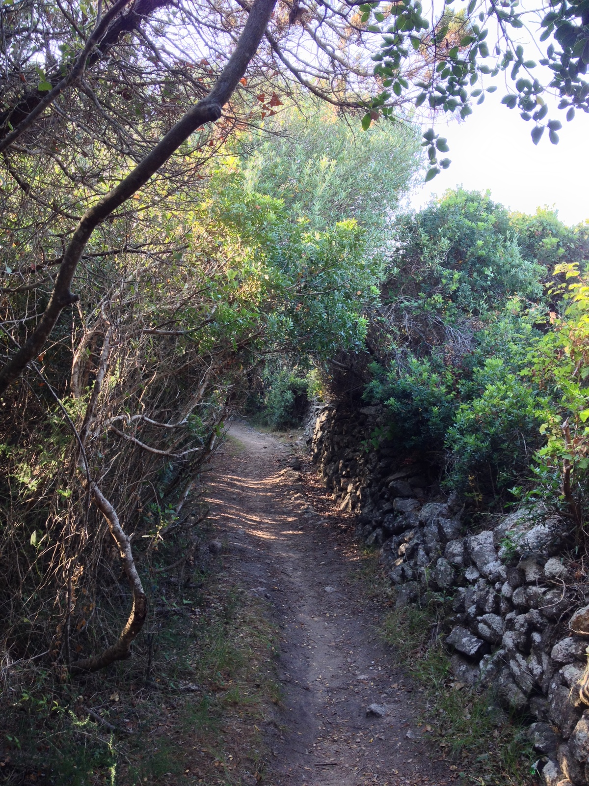 照片 意大利(Italy) 撒丁岛(Sardinia) 加卢拉波托贝洛(Portobello di Gallura) 2015-06 14