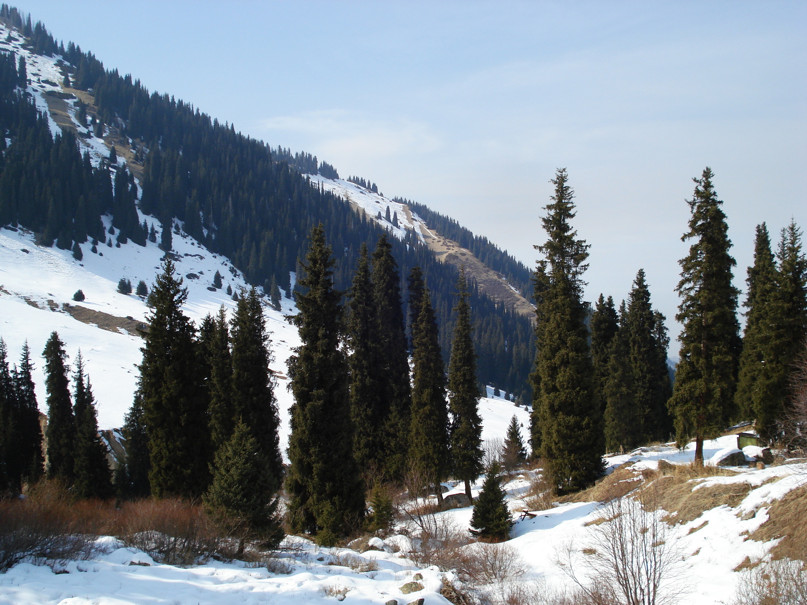 照片 哈萨克斯坦(Kazakhstan) 琼布拉克(Shymbulak) 2007-03 60