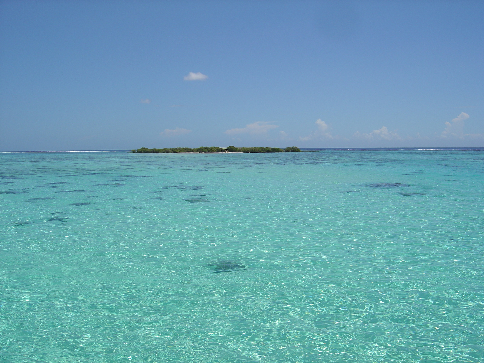 照片 波利尼西亚(Polynesia) 莫雷阿岛(Moorea) 2006-04 91