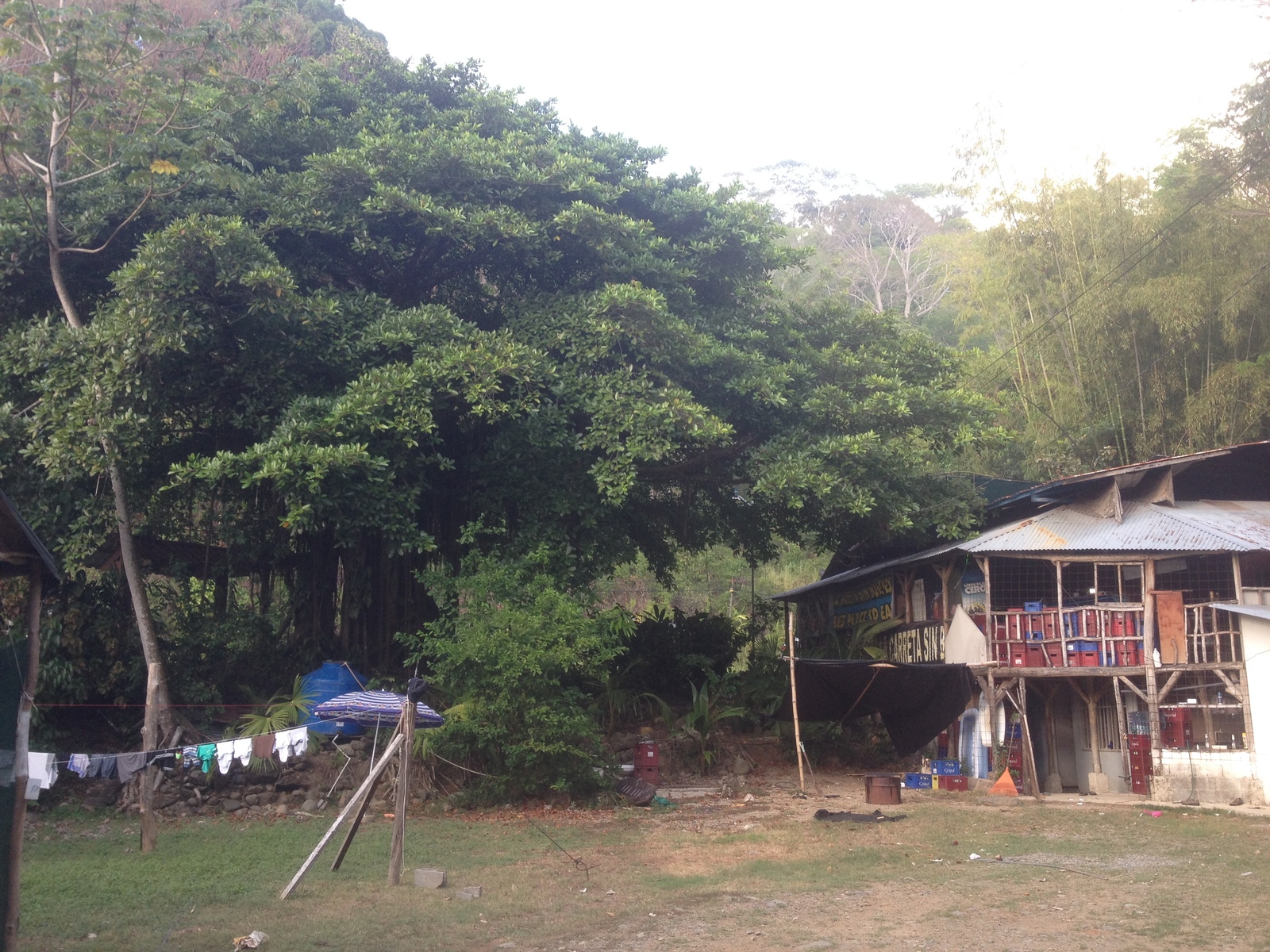 照片 哥斯达黎加(Costa Rica) 多米尼卡尔(Dominical) 2015-03 84
