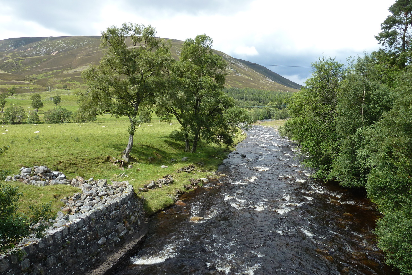 照片 英国(United Kingdom) 凯恩戈姆山国家公园(Cairngorms National Park) 2011-07 94
