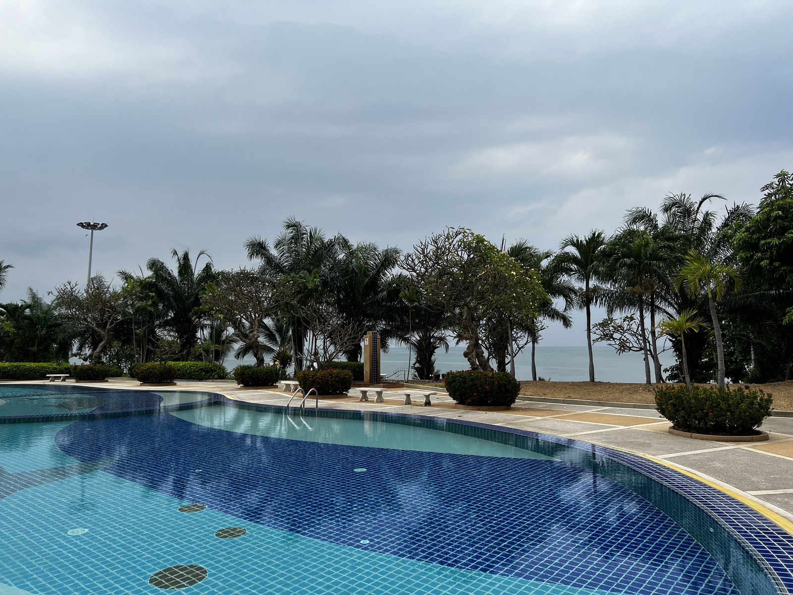 照片 泰国(Thailand) 芭提雅(Pattaya) 2023-01 18
