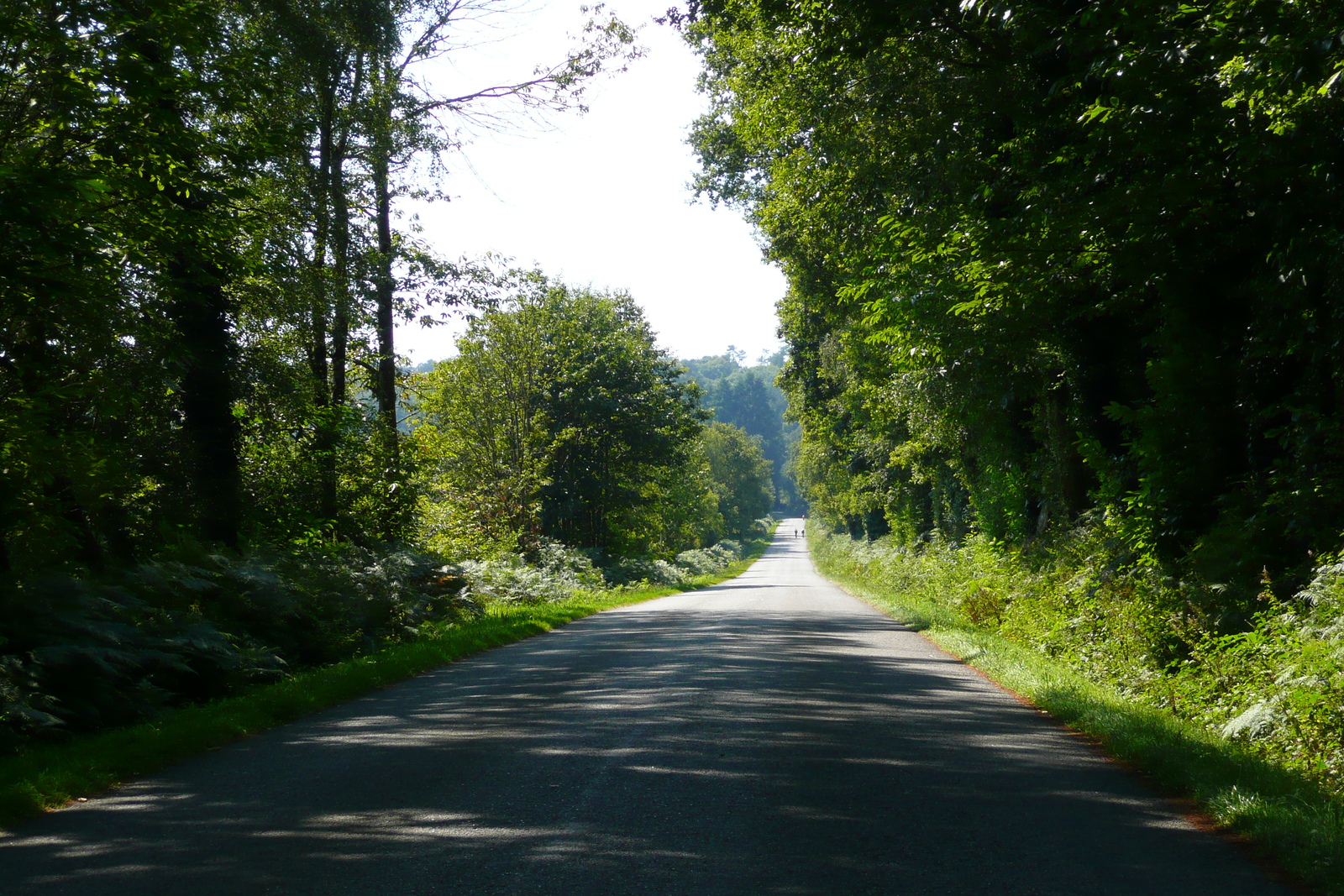 照片 法国(France) 布列塔尼公路(Brittany roads) 2007-08 92