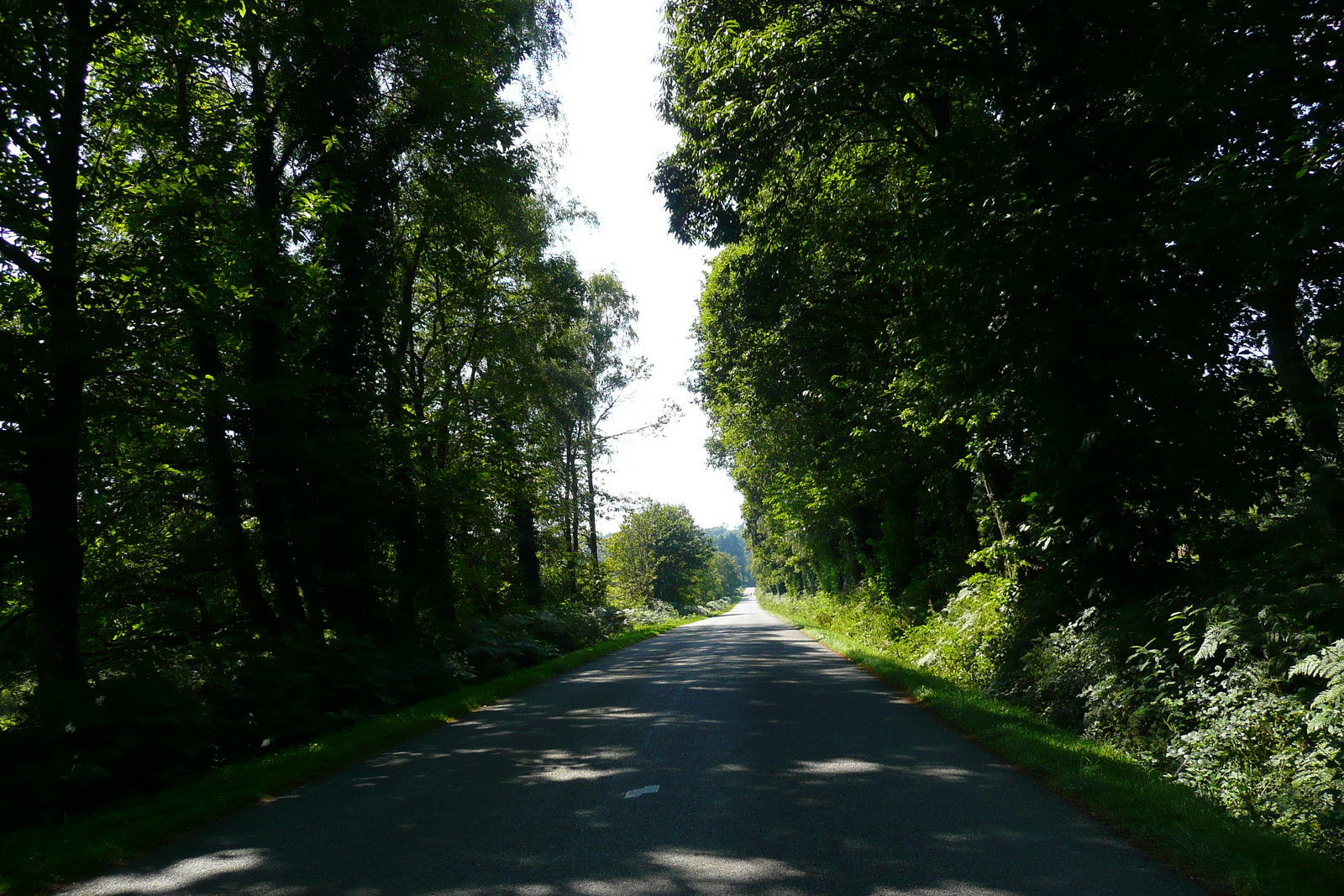 照片 法国(France) 布列塔尼公路(Brittany roads) 2007-08 79