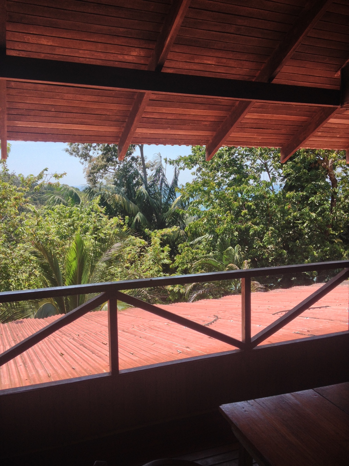 照片 哥斯达黎加(Costa Rica) 曼努埃尔安东尼奥(Manuel Antonio) 2015-03 35