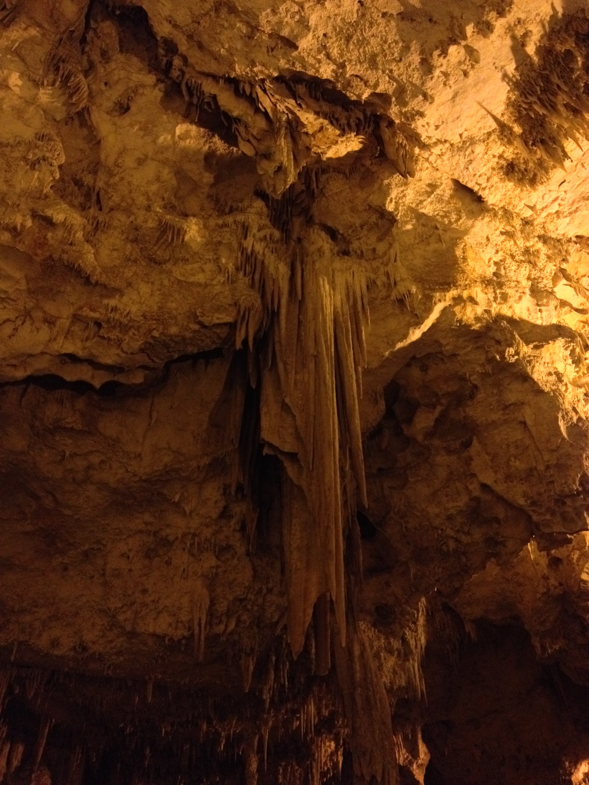 照片 意大利(Italy) 撒丁岛(Sardinia) 卡恰角(Capo Caccia) 2015-06 78