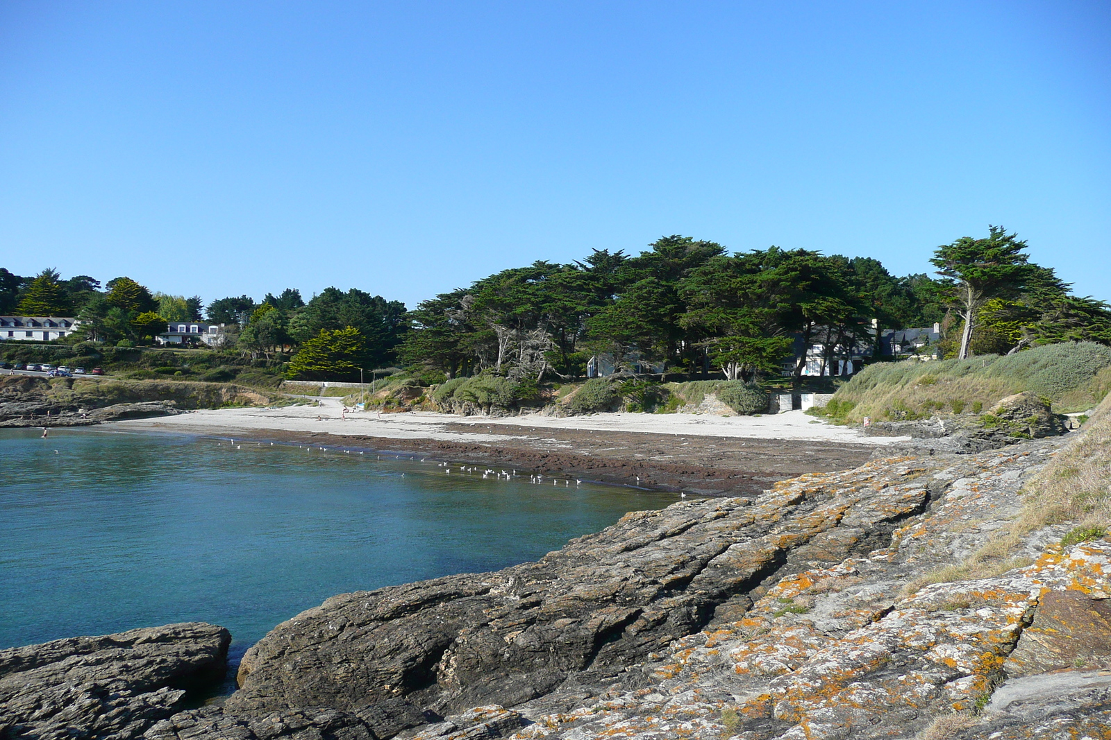 照片 法国(France) 吕伊圣吉尔达(St Gildas de Rhuys) 2007-09 38