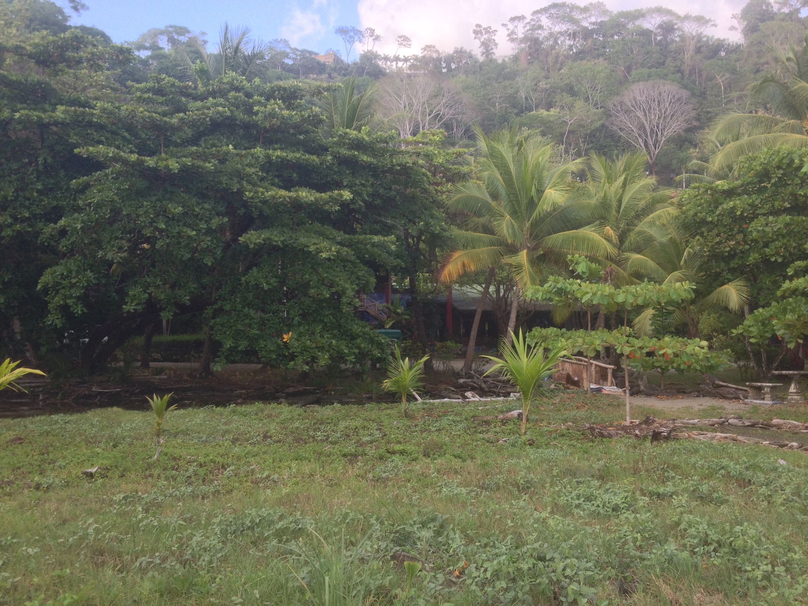 照片 哥斯达黎加(Costa Rica) 多米尼卡尔(Dominical) 2015-03 64