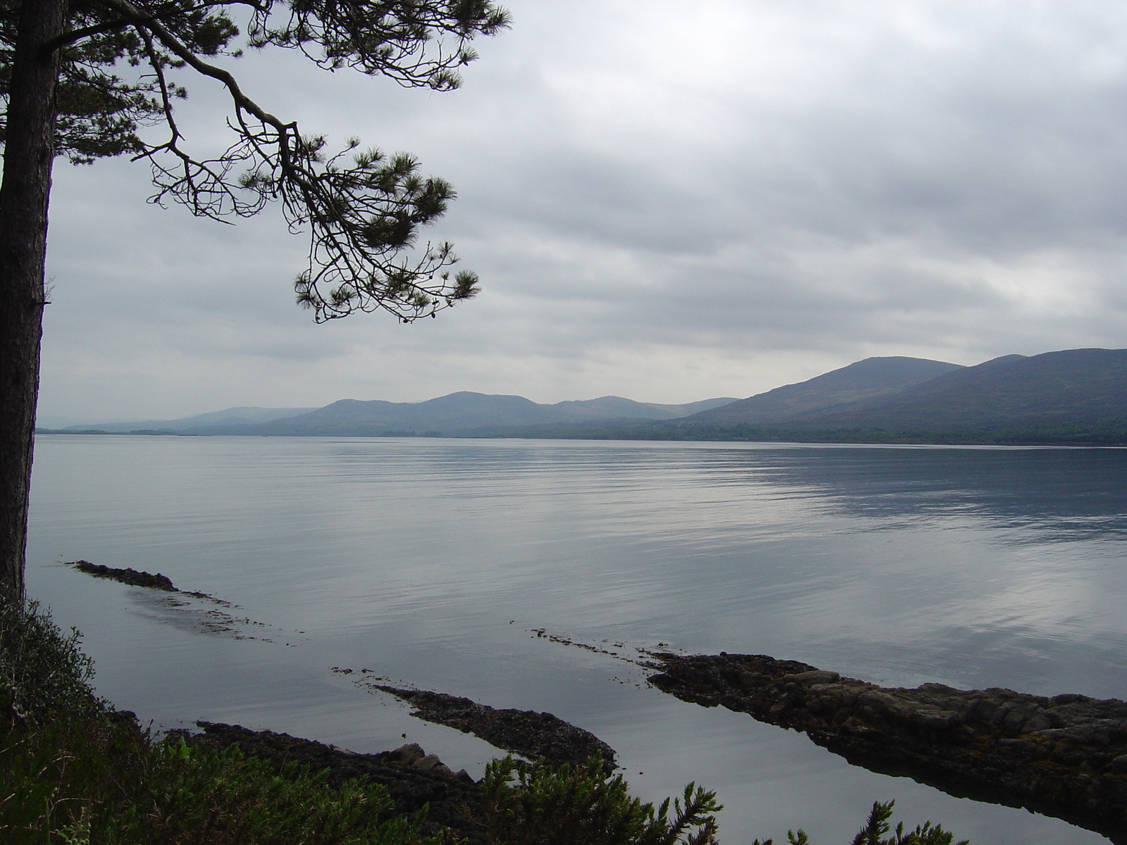 照片 爱尔兰(Ireland) 凯里郡(Kerry) 肯梅尔(Kenmare) 坦普尔诺(Templenoe) 2004-05 2