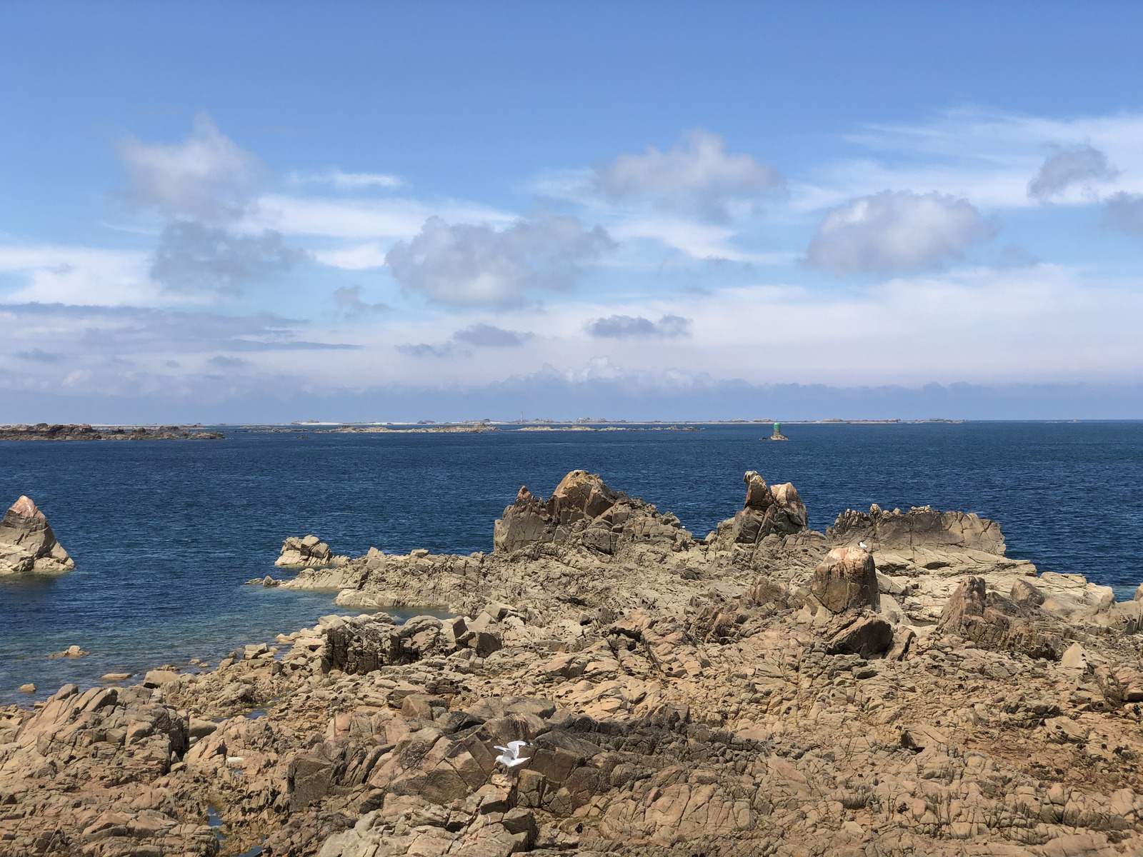 照片 法国(France) 布雷阿岛(Brehat Island) 2020-06 117