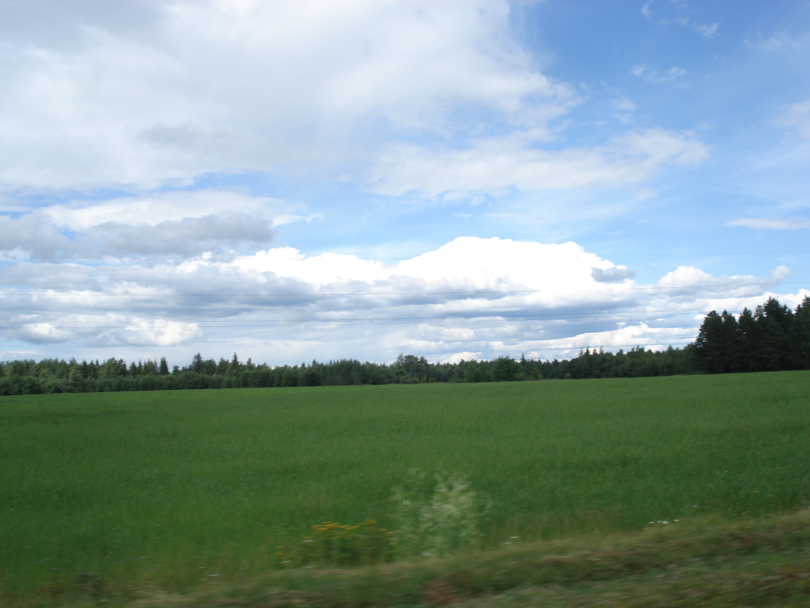 照片 俄罗斯(Russia) 雅罗斯拉夫尔至圣彼得堡(From Yaroslavl to St Petersburg) 2006-07 29