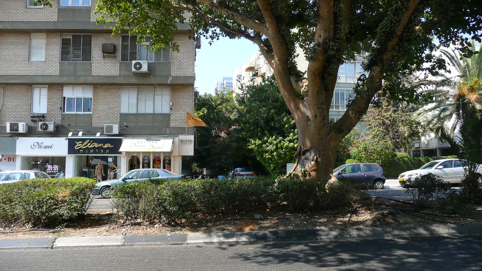 照片 以色列(Israel) 特拉维夫(Tel Aviv) 亚博廷斯基街(Jabotinsky Street) 2007-06 14
