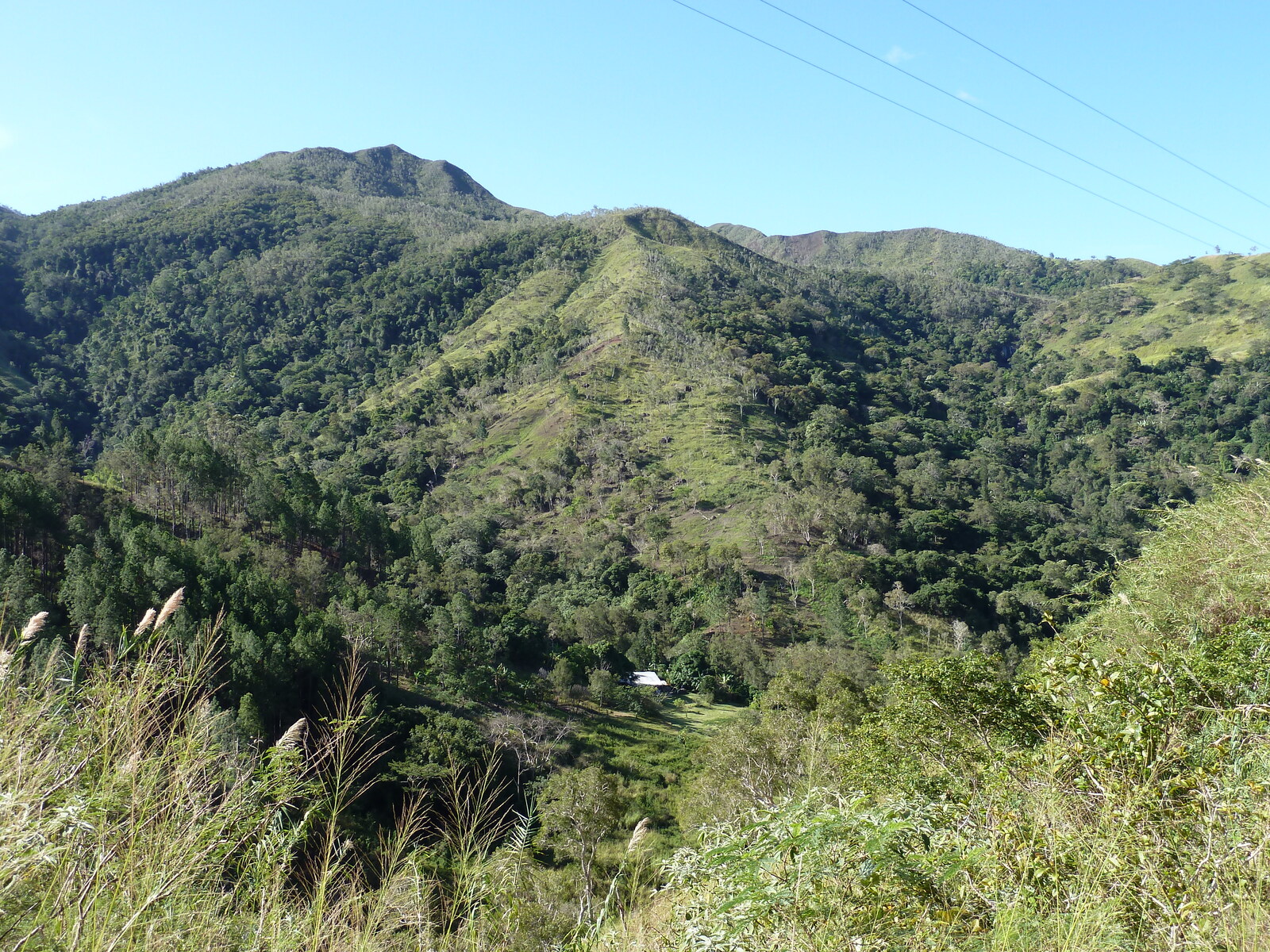 照片 新喀里多尼亚(New Caledonia) 卡纳拉至拉福阿公路(Canala to La Foa road) 2010-05 1