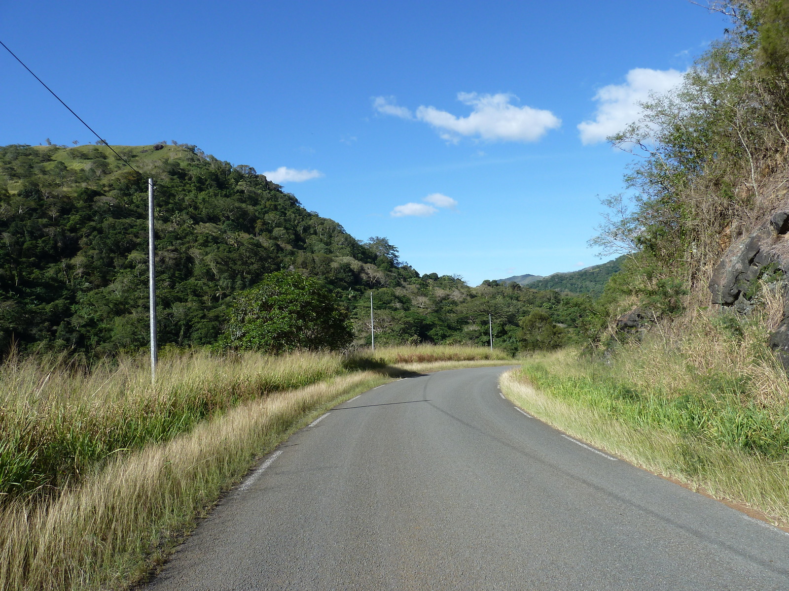 照片 新喀里多尼亚(New Caledonia) 卡纳拉至拉福阿公路(Canala to La Foa road) 2010-05 57