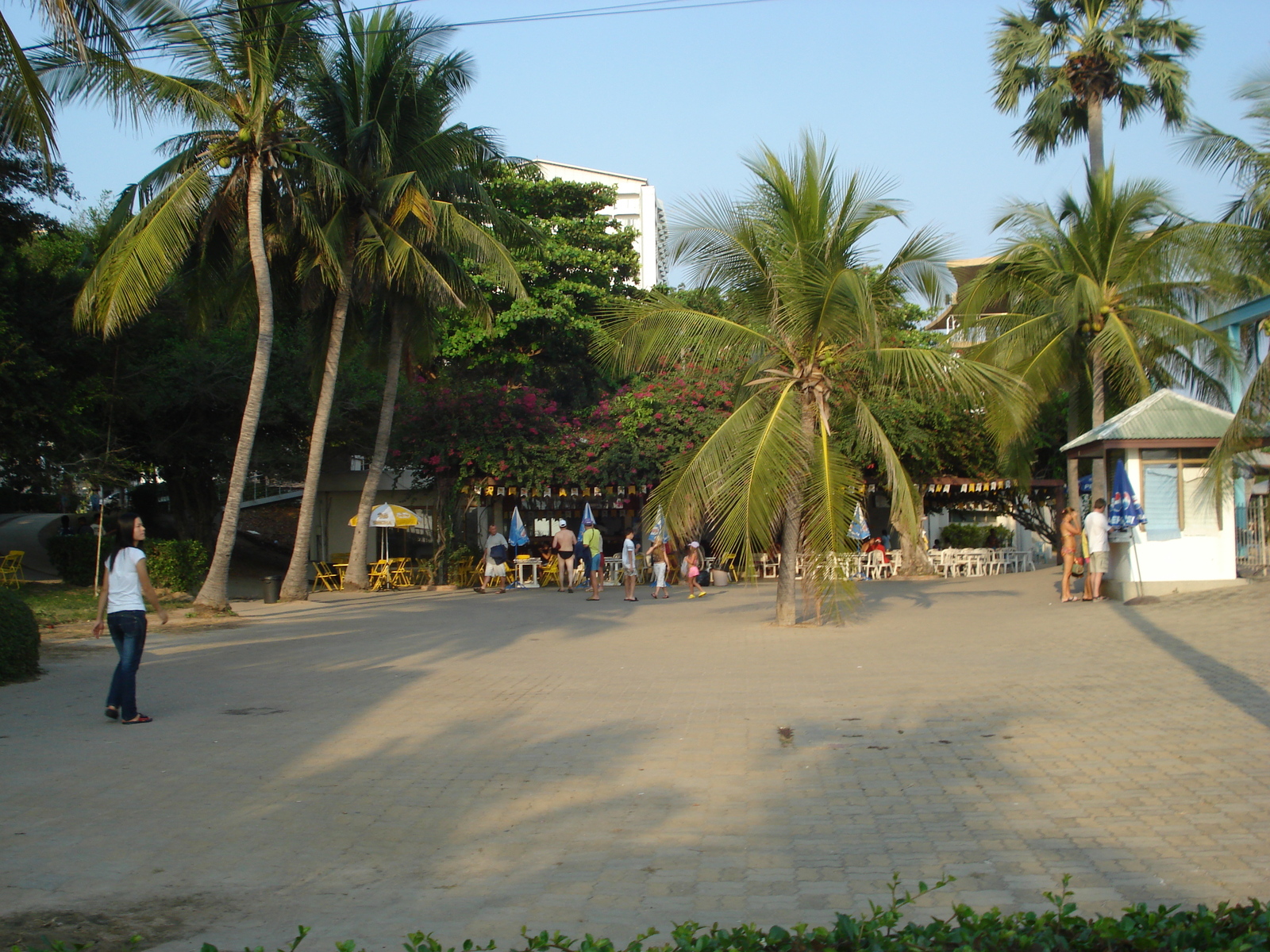 照片 泰国(Thailand) 芭提雅(Pattaya) 东潭海滩(Dongtan beach) 2008-01 3