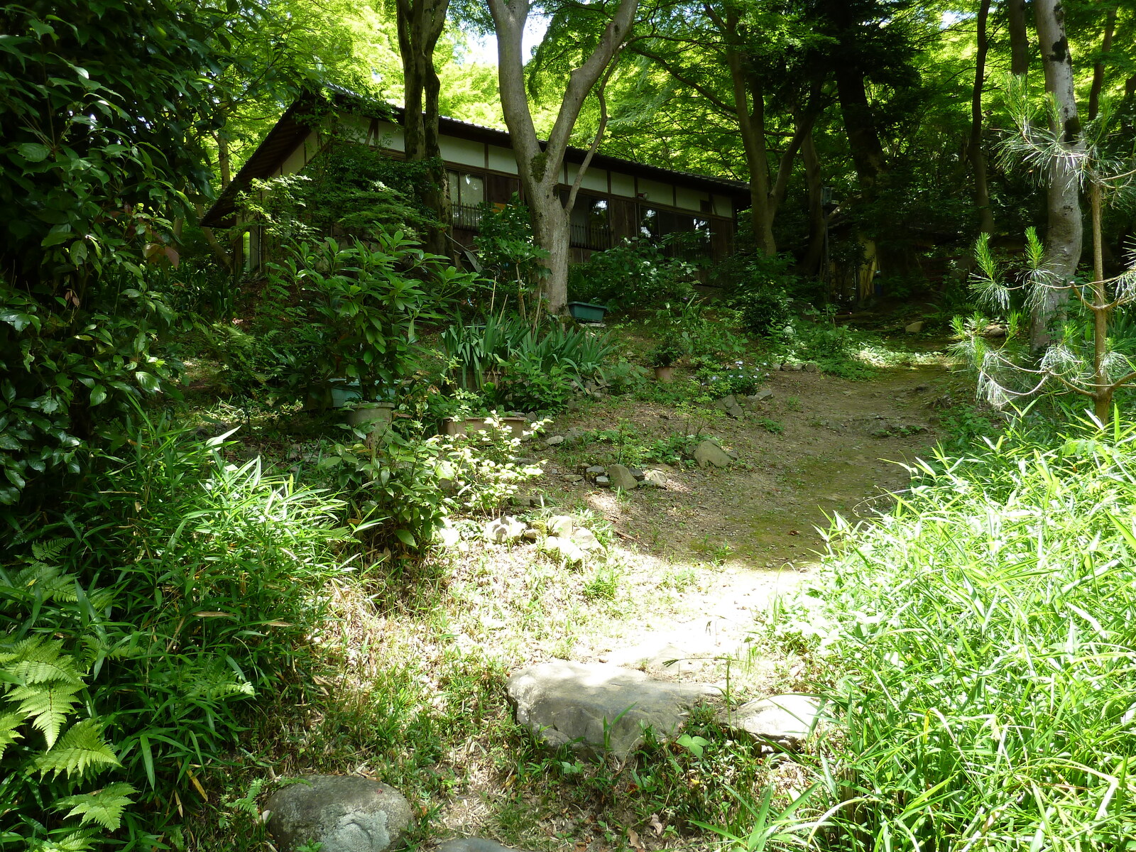 照片 日本(Japan) 京都(Kyoto) 八濑比叡山口站(Yase Hieizanguchi Station) 2010-06 6