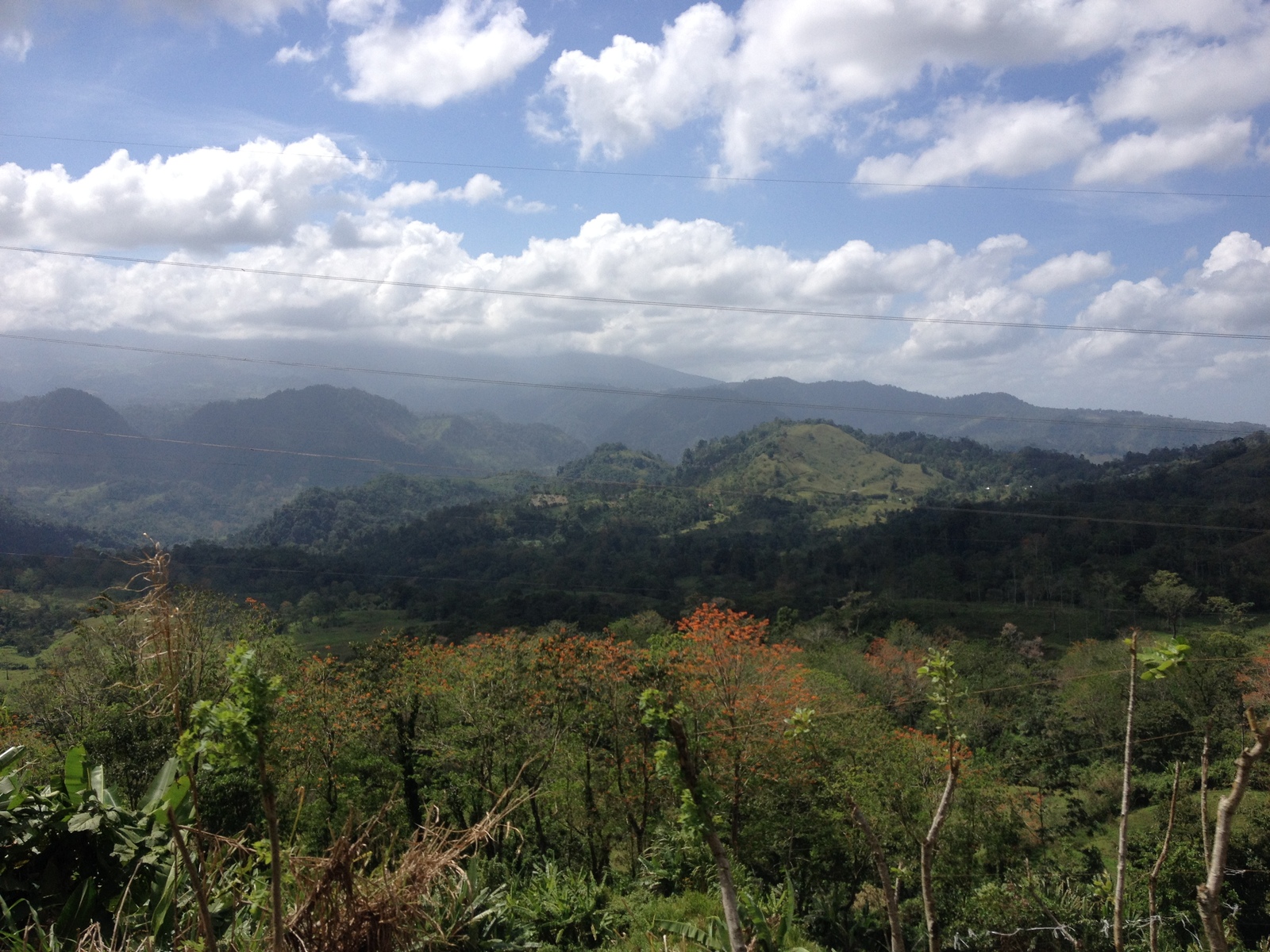 照片 哥斯达黎加(Costa Rica) 图里亚尔瓦(Turrialba) 2015-03 19