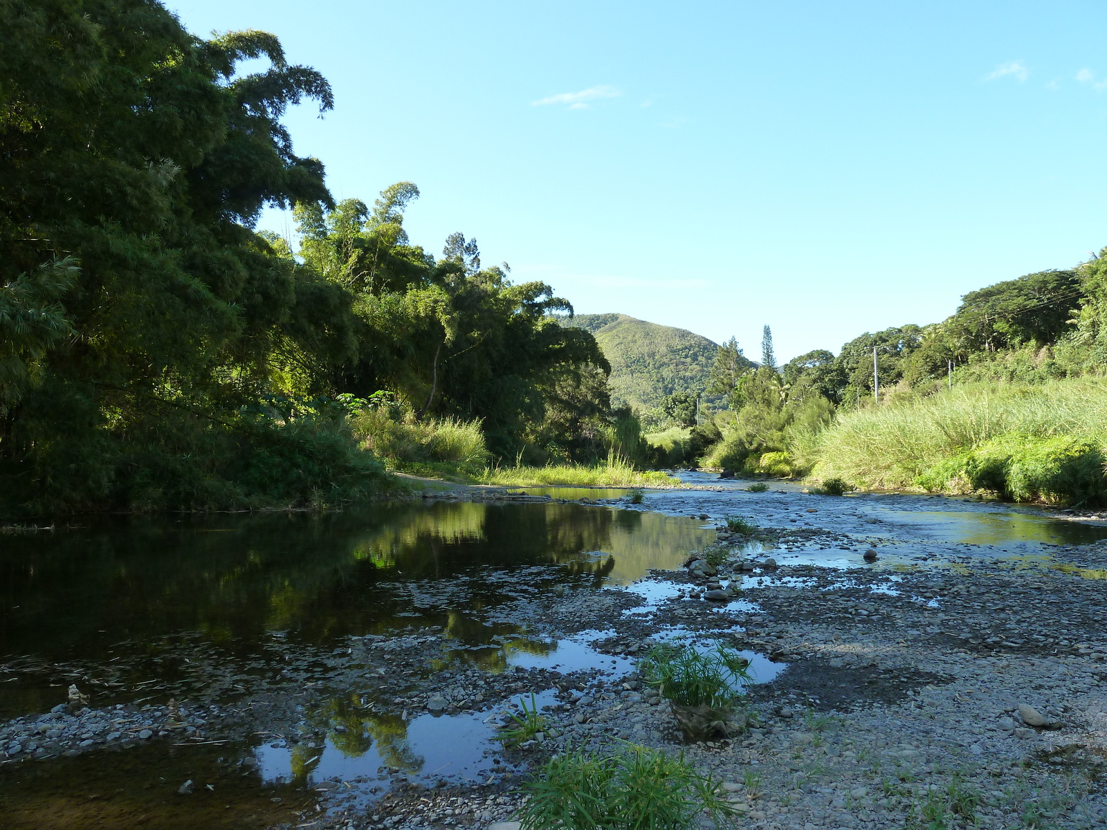 照片 新喀里多尼亚(New Caledonia) 卡纳拉至拉福阿公路(Canala to La Foa road) 2010-05 55