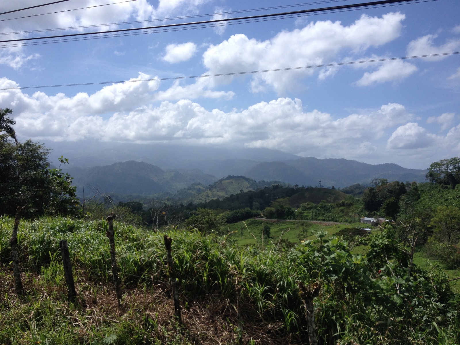 照片 哥斯达黎加(Costa Rica) 图里亚尔瓦(Turrialba) 2015-03 29