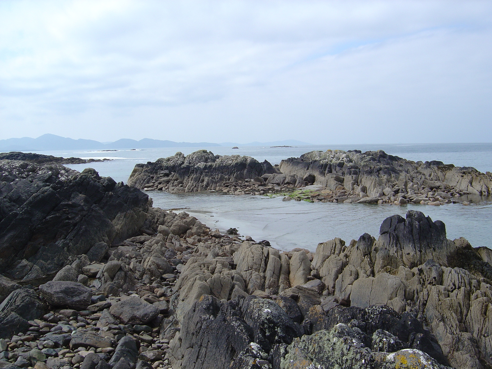 照片 爱尔兰(Ireland) 凯里郡(Kerry) 帕克纳西拉(Parknasilla) 2004-05 10