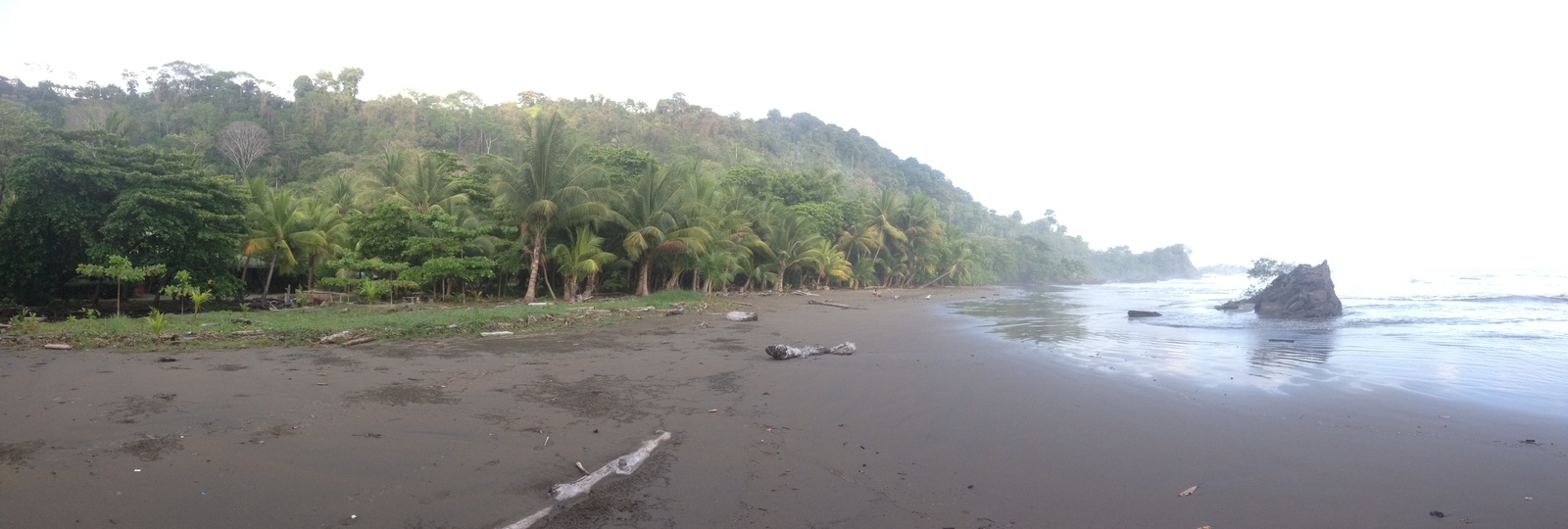 照片 哥斯达黎加(Costa Rica) 多米尼卡尔(Dominical) 2015-03 87