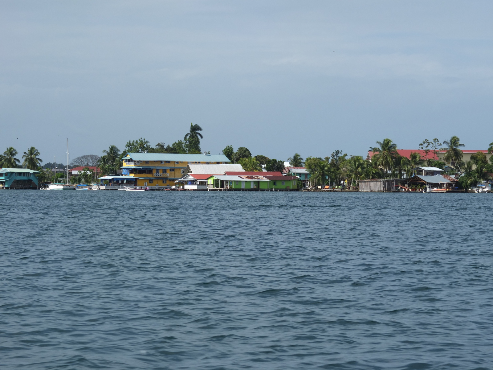 照片 巴拿马(Panama) 博卡斯德尔托罗(Bocas del toro) 2015-03 47
