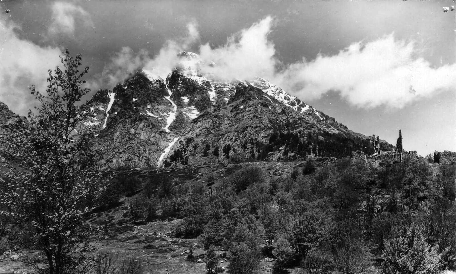 照片 法国(France) 科西嘉岛(Corsica) 老明信片(Old Postcards) 1900-01 263