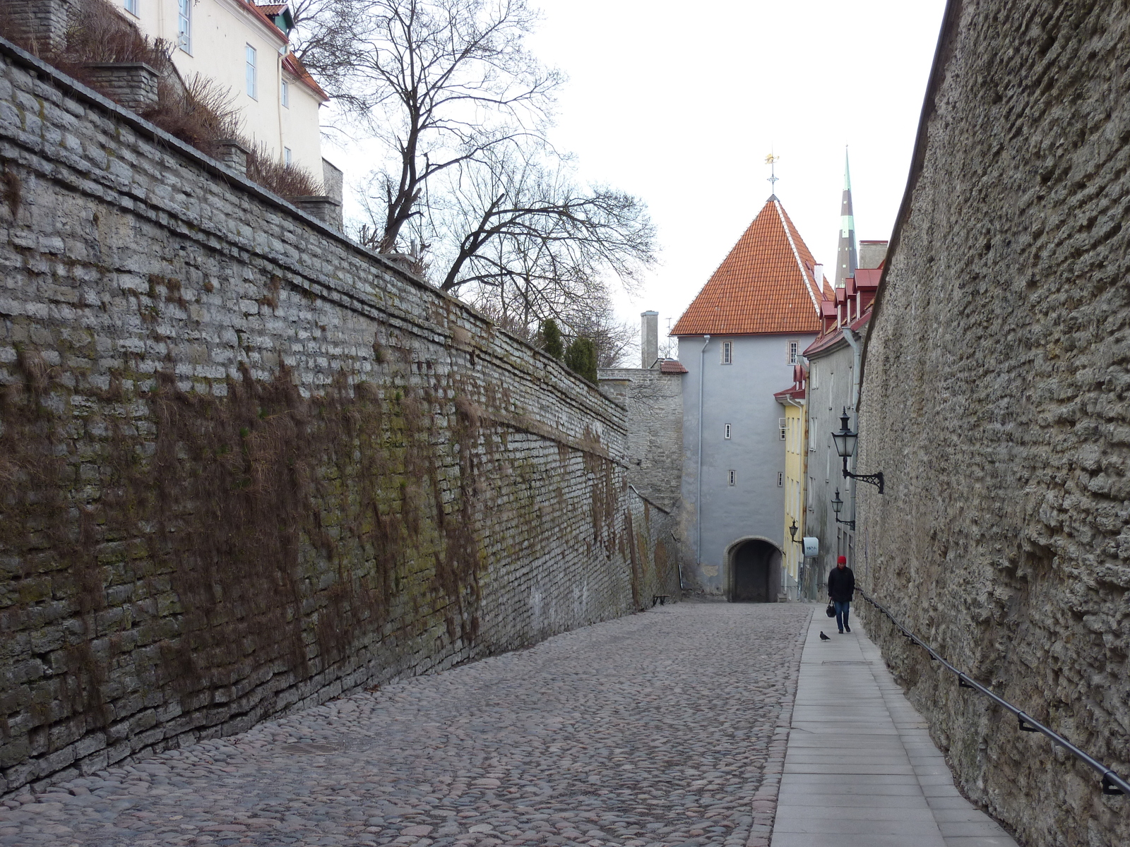 照片 爱沙尼亚(Estonia) 塔林(Tallinn) 塔林老城(Old Tallinn) 2009-04 73