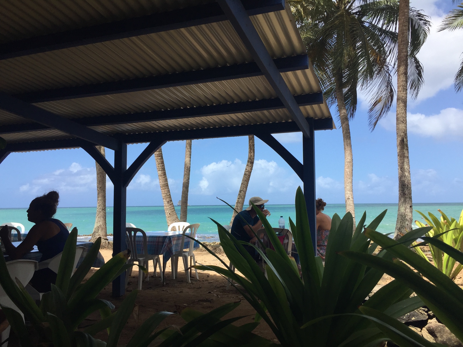 照片 瓜德罗普(Guadeloupe) 德艾(Deshaies) 2021-02 9