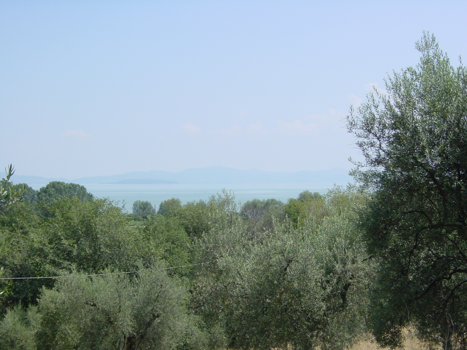 照片 意大利(Italy) 阿西西(Assisi) 2002-07 91