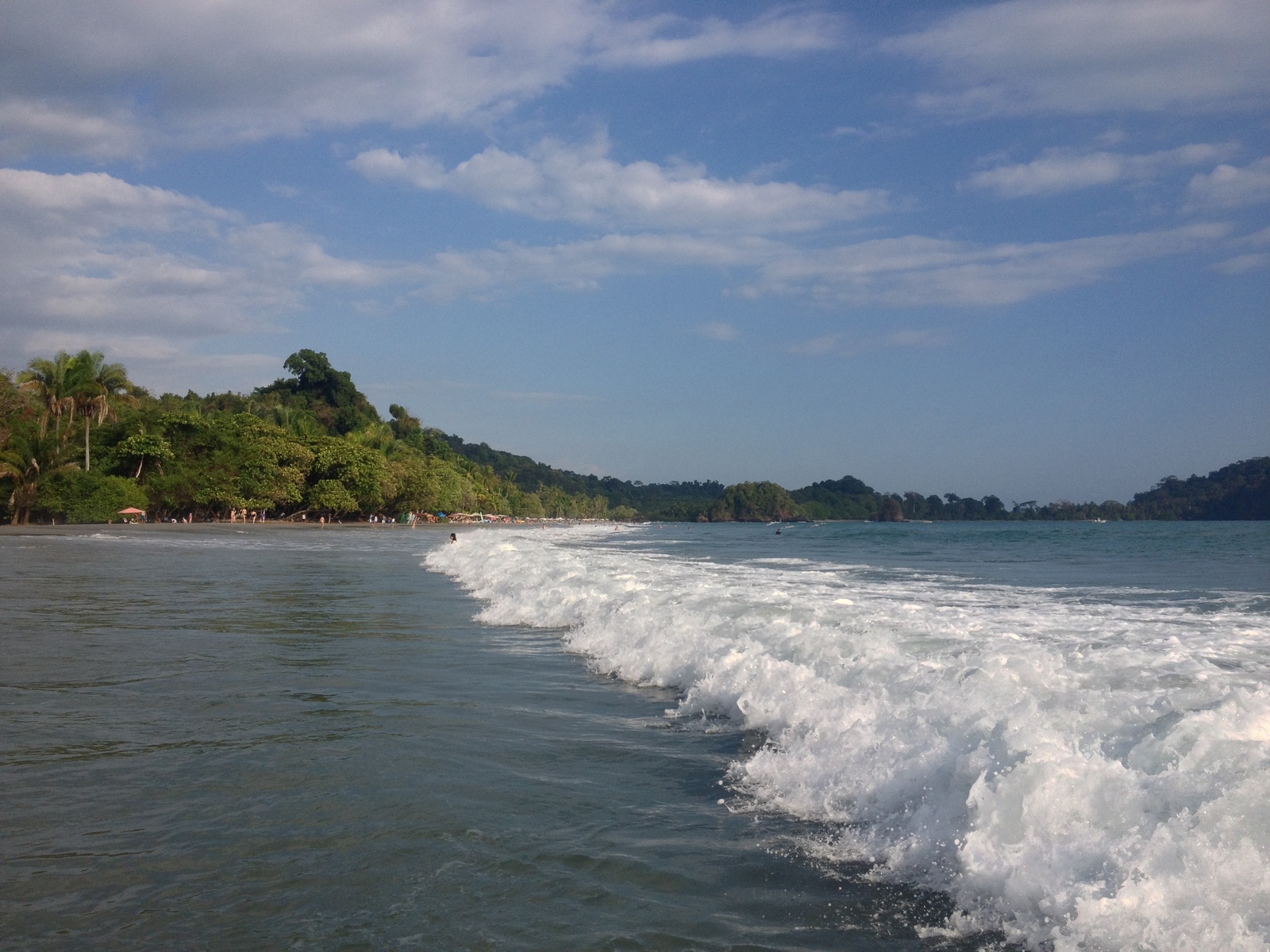 照片 哥斯达黎加(Costa Rica) 曼努埃尔安东尼奥(Manuel Antonio) 2015-03 14