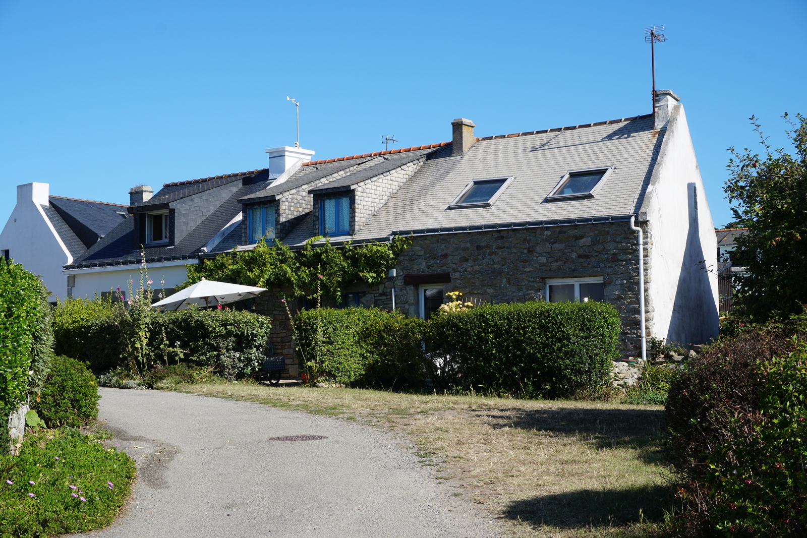 照片 法国(France) 厄迪克岛(Hoedic) 2016-08 63