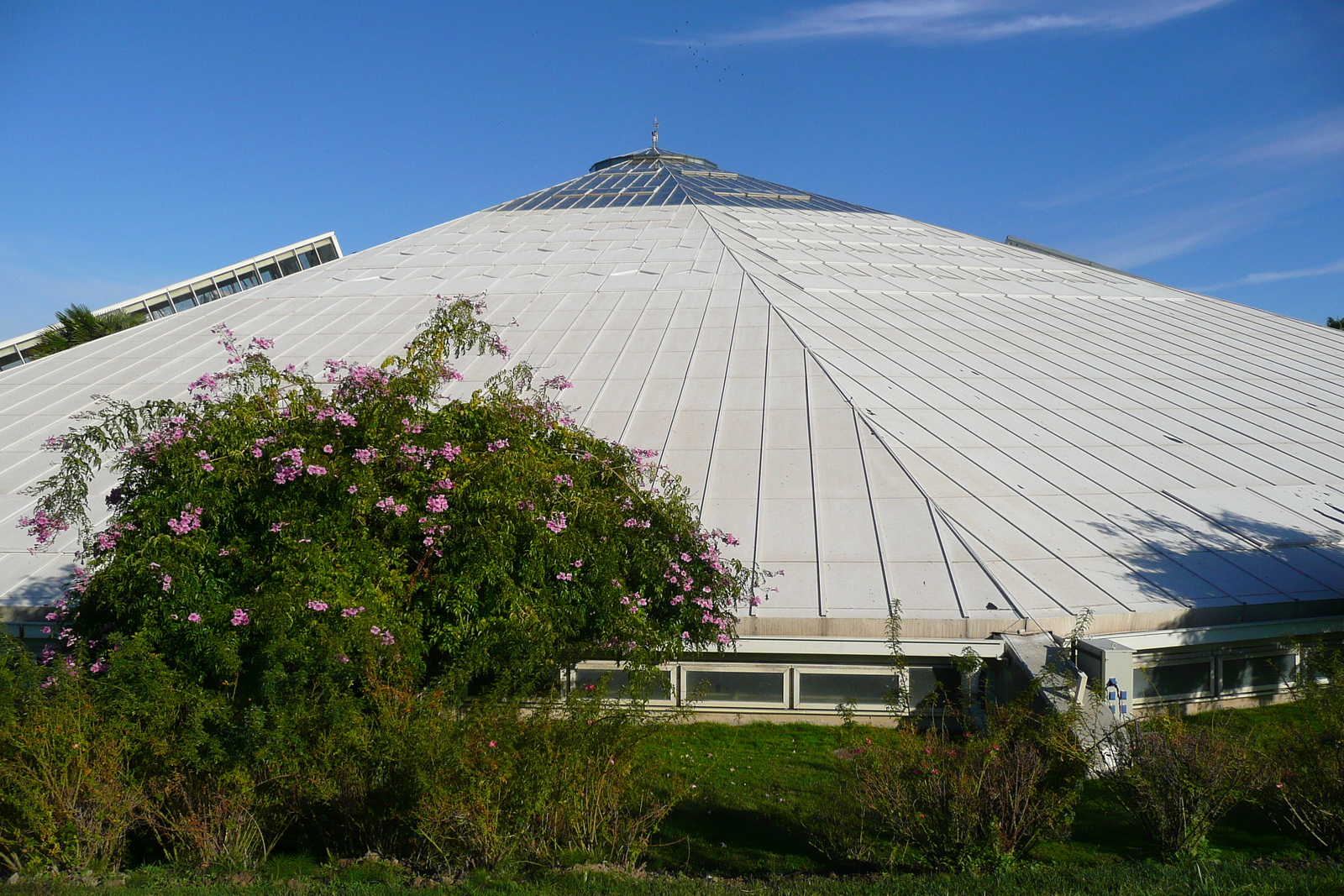 照片 法国(France) 尼斯(Nice) 凤凰公园(Phoenix Parc) 2007-10 42