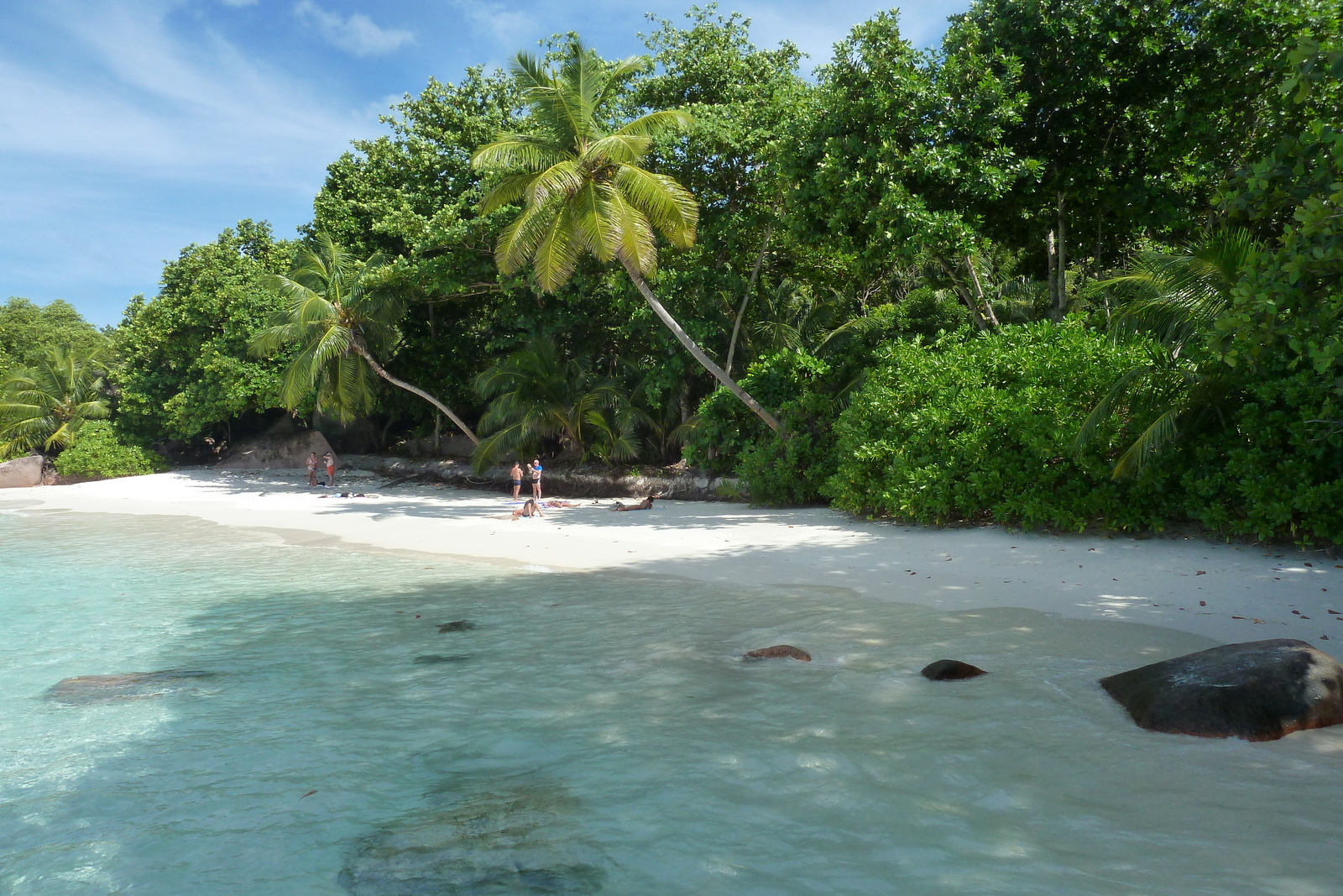 照片 塞舌尔(Seychelles) 拉齐奥湾(Anse Lazio) 2011-10 189
