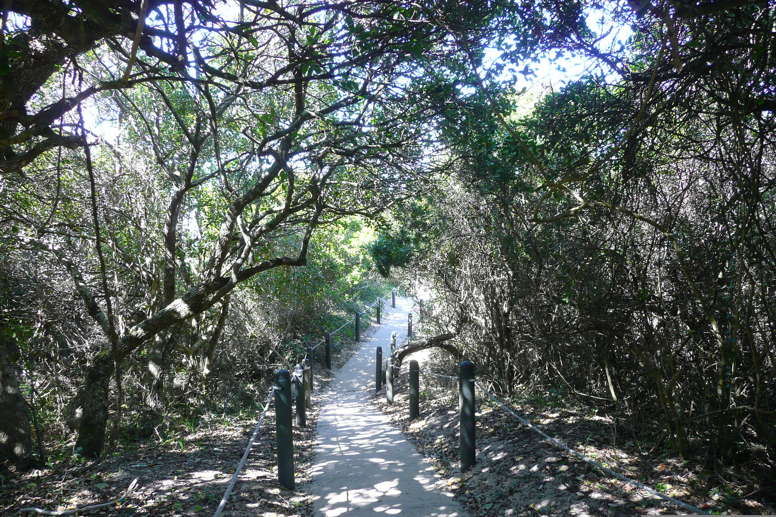 照片 南非(South Africa) 自然谷(Nature's Valley) 2008-09 57