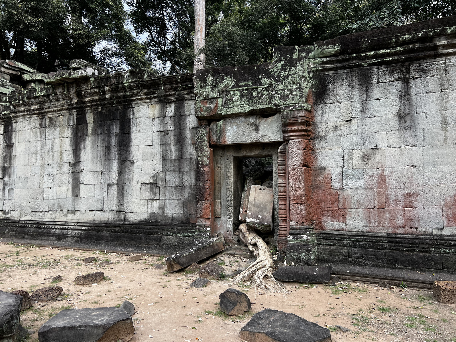 照片 柬埔寨(Cambodia) 暹粒(Siem Reap) 塔布茏寺(Ta Prohm) 2023-01 140