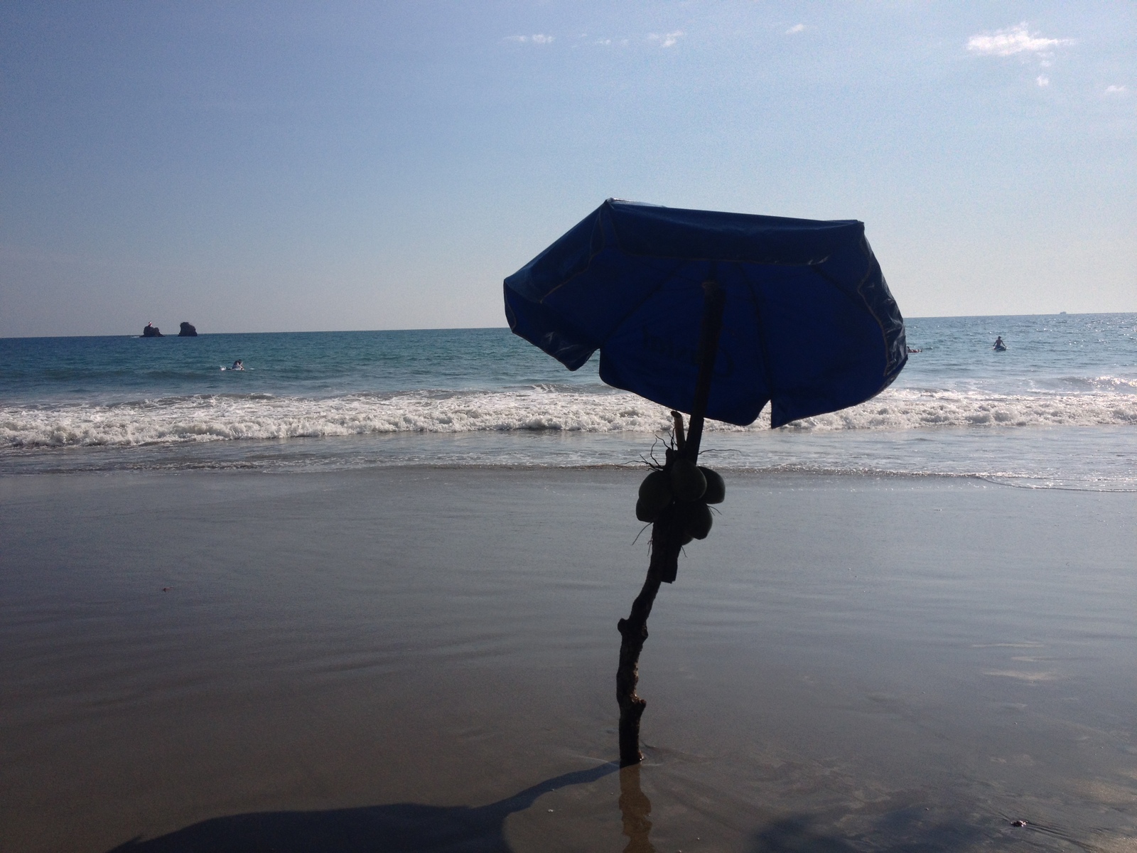 照片 哥斯达黎加(Costa Rica) 曼努埃尔安东尼奥(Manuel Antonio) 2015-03 85
