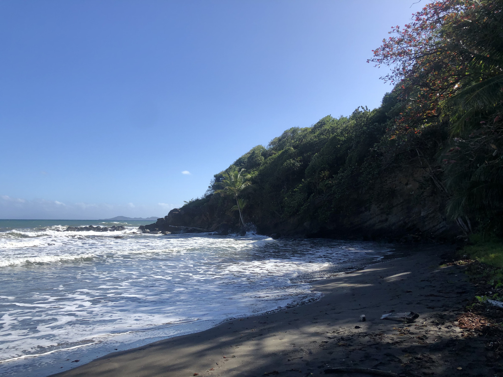 照片 瓜德罗普(Guadeloupe) 巴纳尼耶(Bananier) 2021-02 18