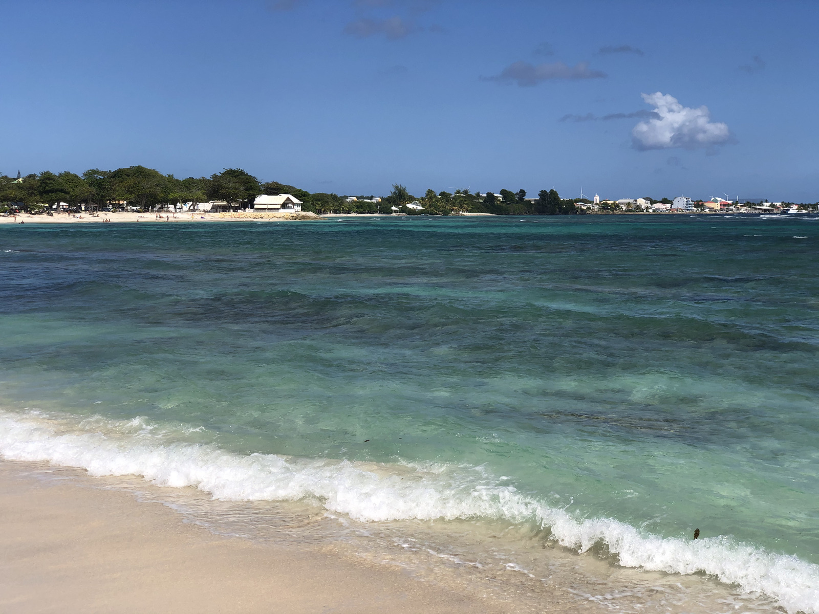 照片 瓜德罗普(Guadeloupe) 圣弗朗索瓦(Saint Francois) 2021-02 36