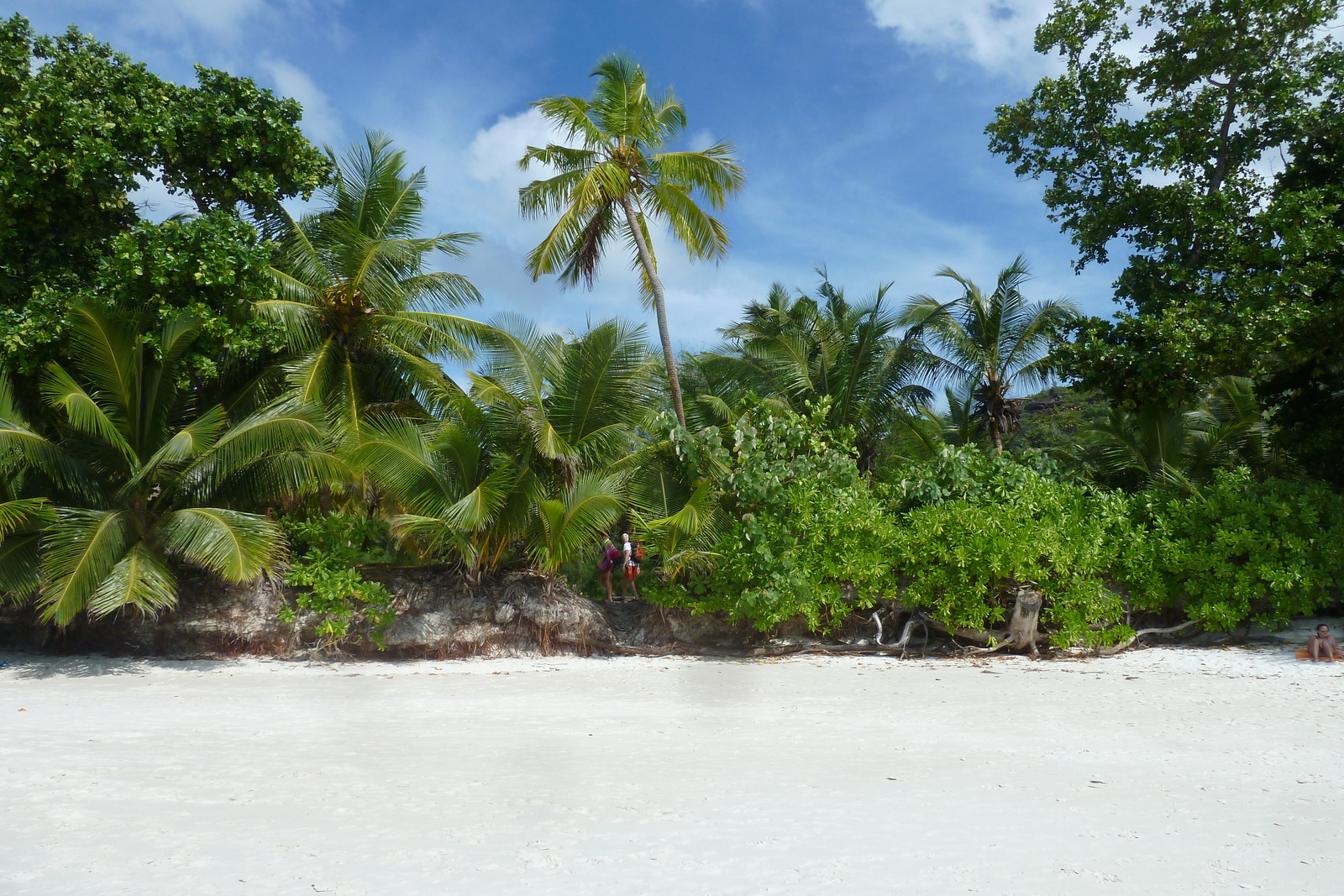 照片 塞舌尔(Seychelles) 2011-10 139