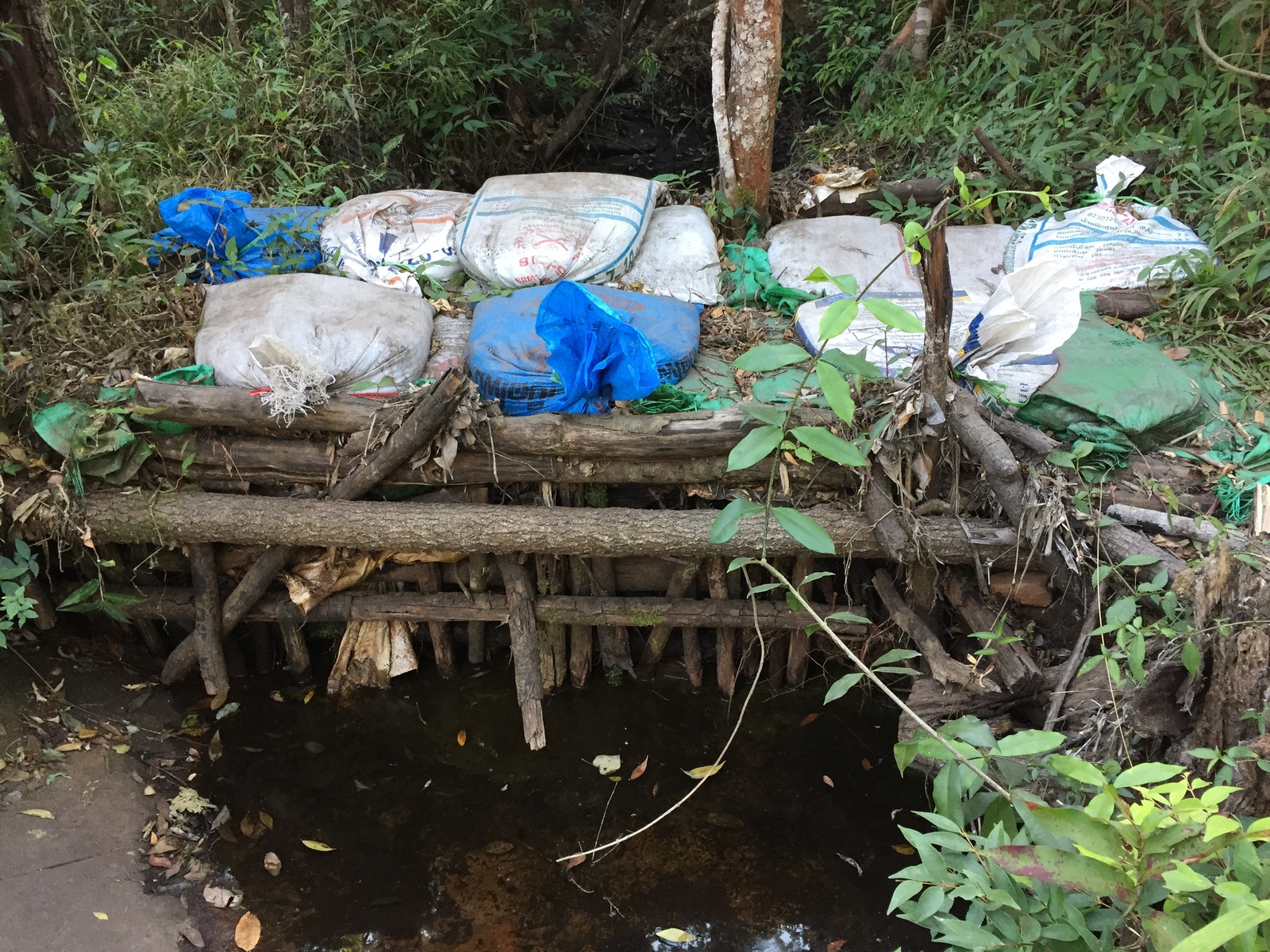 照片 泰国(Thailand) 普欣隆卡国家公园(Phu Hin Rong Kla National Park) 2014-12 420