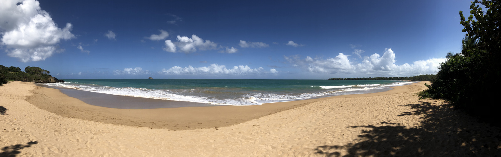 照片 瓜德罗普(Guadeloupe) 珍珠海滩(La Perle Beach) 2021-02 132