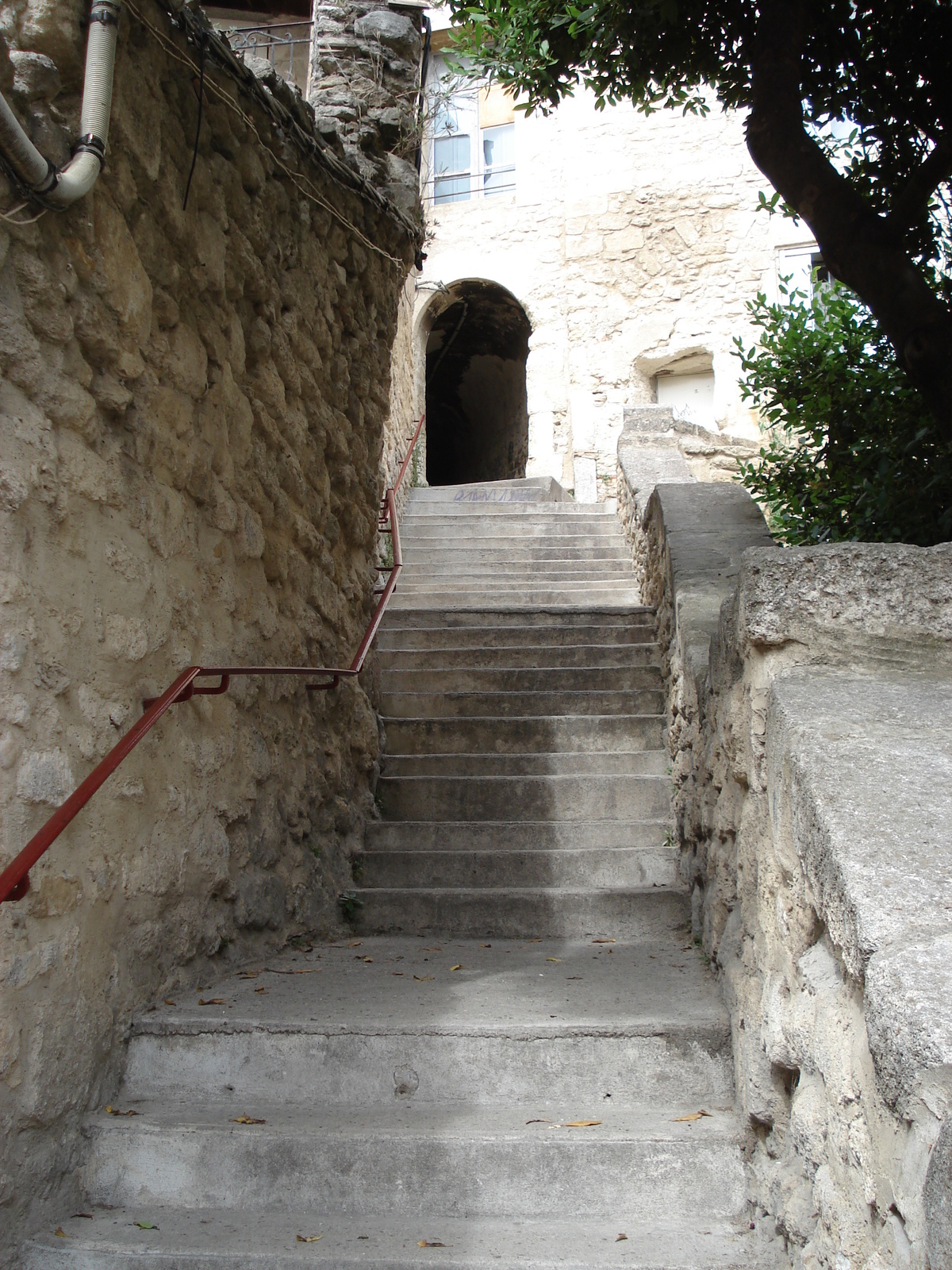 照片 法国(France) 索米耶尔(Sommieres) 2006-06 100