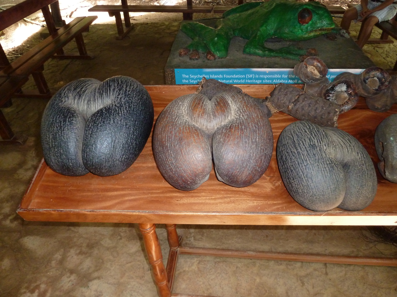 照片 塞舌尔(Seychelles) 2011-10 48