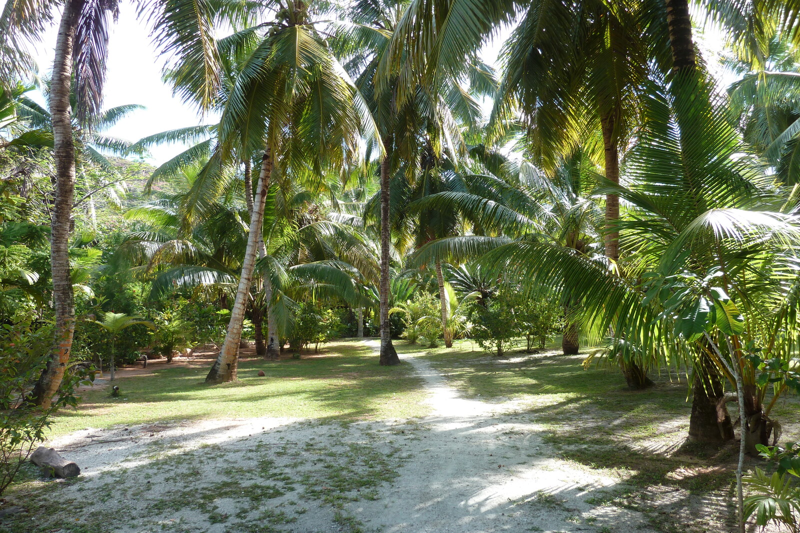 照片 塞舌尔(Seychelles) 拉齐奥湾(Anse Lazio) 2011-10 21