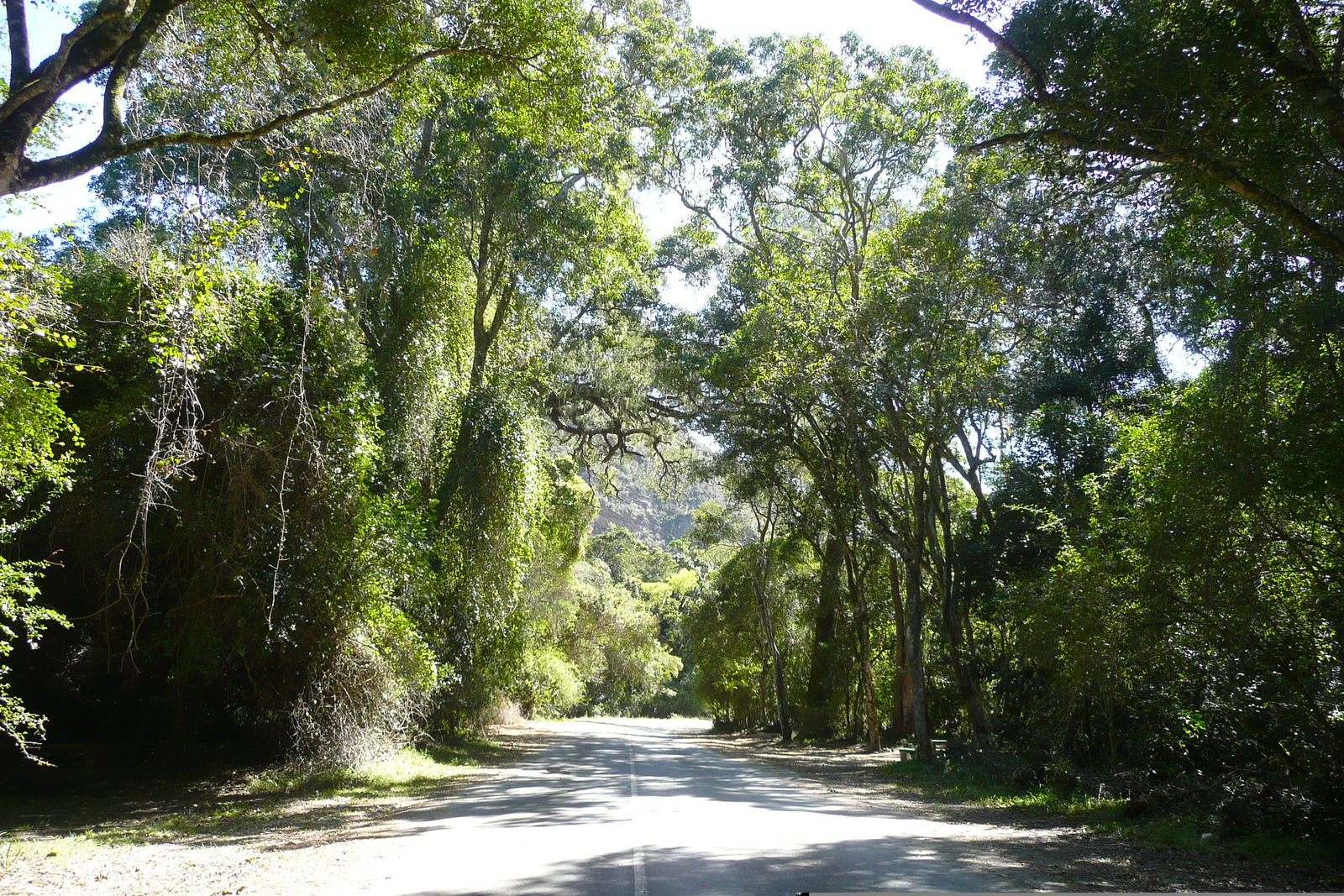 照片 南非(South Africa) 自然谷(Nature's Valley) 2008-09 9